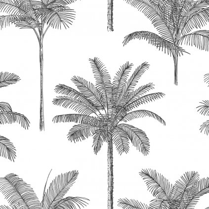 Tapeta Palm trees black and white