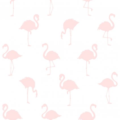 Tapeta Flamingos light pink and white