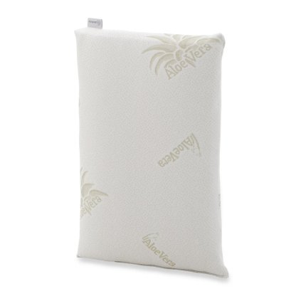 Vankúš Aloe Vera 1