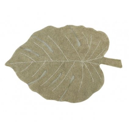 Monstera Olive 1