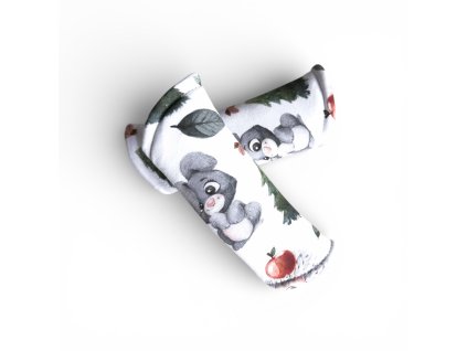 Photoroom 20260127 125218