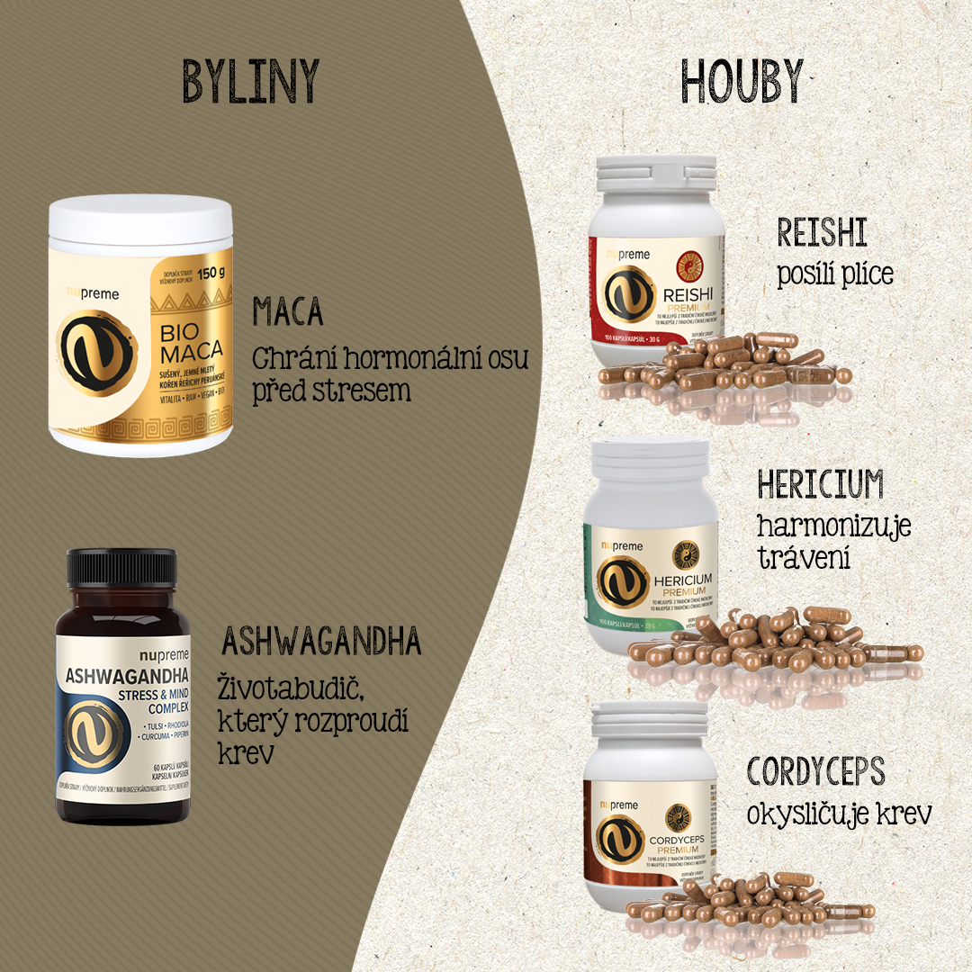 inforgrafika-ash-houby-vs-byliny
