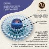 liposomal infografika 2 (1)