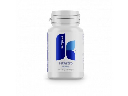 Fit Artro Aktiv 600 mg/60 kps