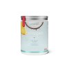 collagen heaven 300g pina colada webshop