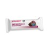 Energy Balls Blueberry 81fda4a6 64f2 4eb9 a3c3 dbe23a39b9c5 2048x x