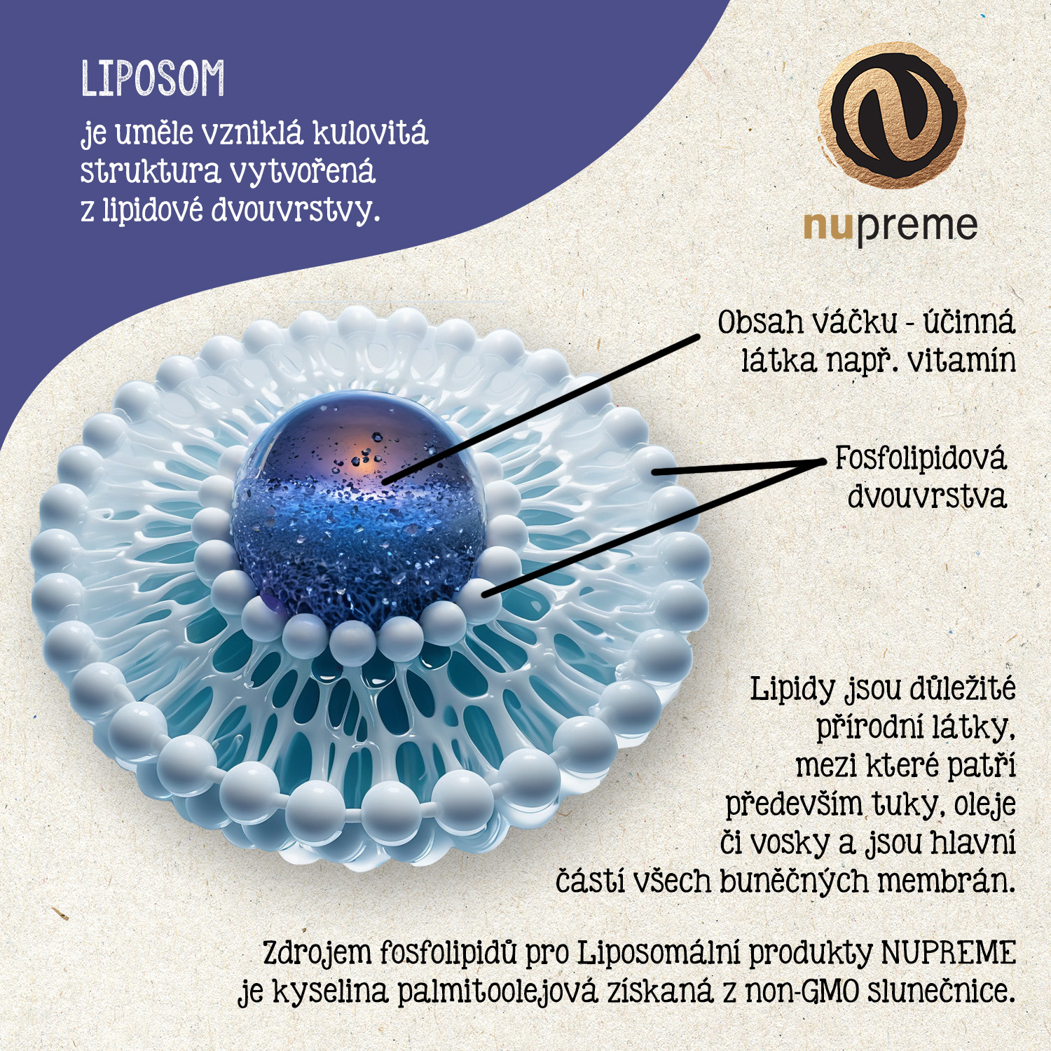 Liposomal Vit. B12 30 kapslí NUPREME Obrázek