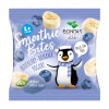 viz bonitas smoothie blueb ban yog 10g 260x120 preview