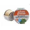 Microgreens set 2+2 Hořčice INGREEN 40g