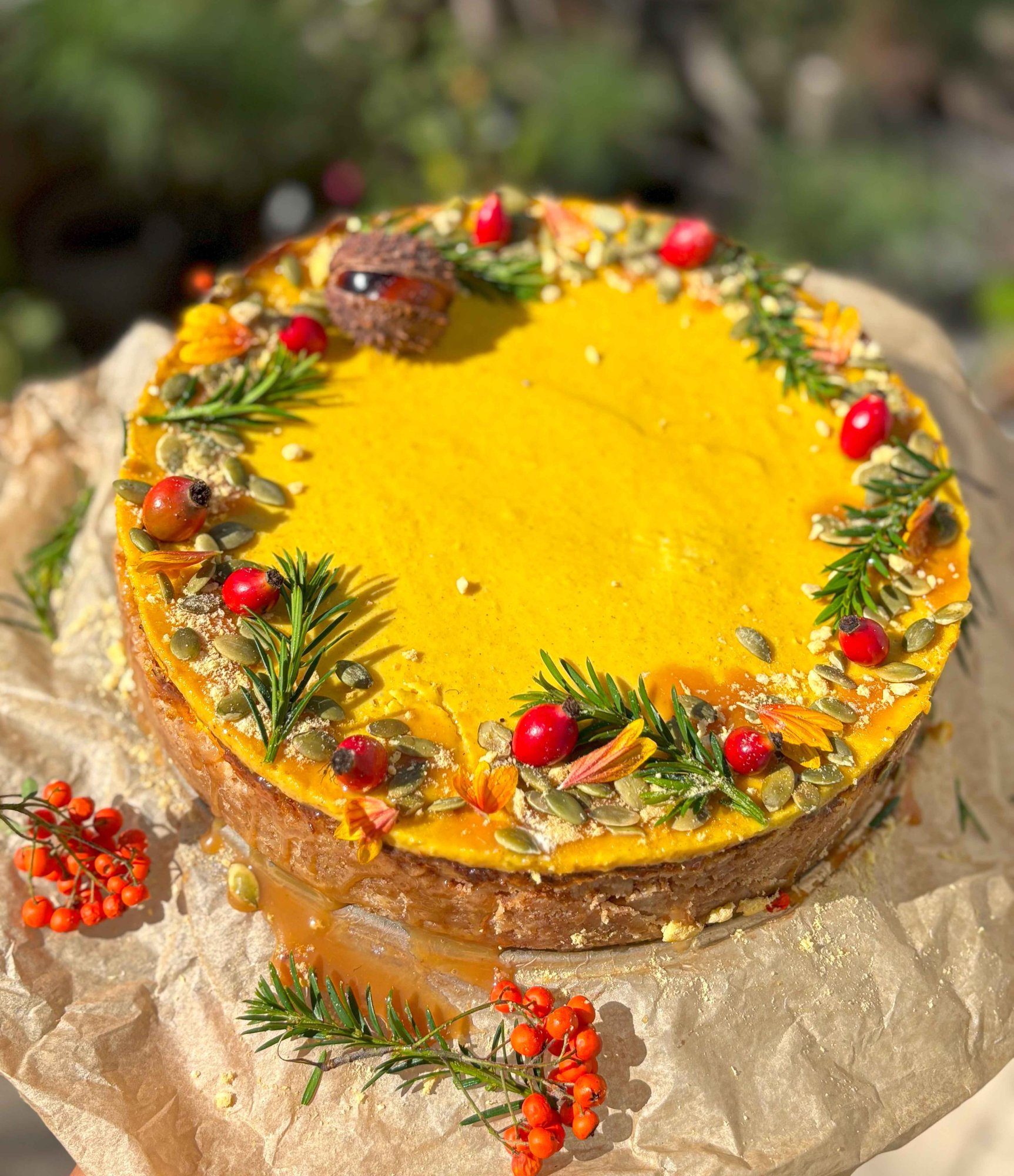 Tekvicový cheesecake s mangovým pyré