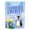 BIO Penguin Fruits Banán & Čučoriedka BONITAS 15g