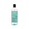 Sprchový gel – Fresh tea mint ZIAJA 500ml