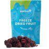 NUTIVA Lyofilizované černice 100g
