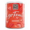 Lyo fruit mix jahoda