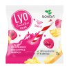 viz bonitas lyo smth maliny mango ananas 25g 8586024473263