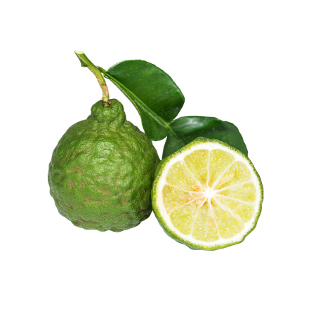 Bergamot