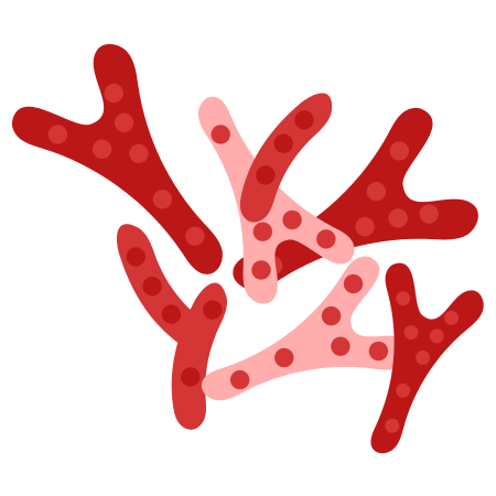 Bifidobacterium infantis