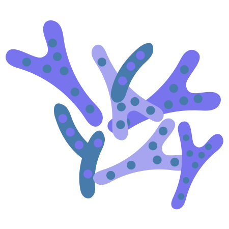 Bifidobacterium longum
