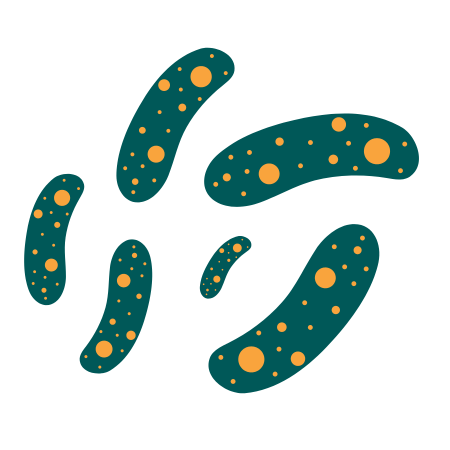 Lactobacillus gasseri