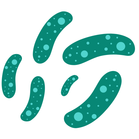 Lactobacillus helveticus