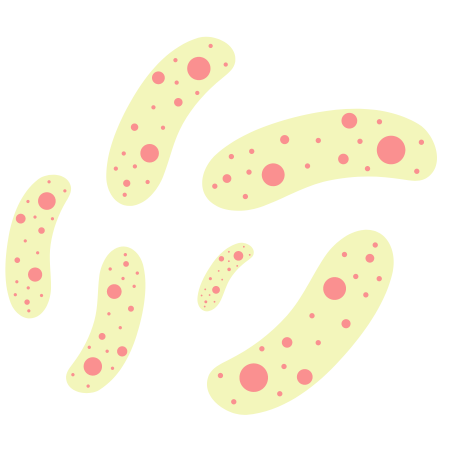 Lactobacillus plantarum