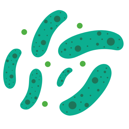 LACTOBACILLUS RHAMNOSUS