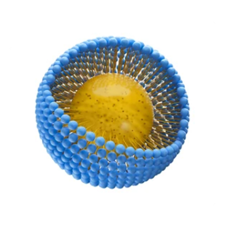 LIPOSOMÁLNÍ VITAMÍN C