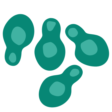 Saccharomyces boulardii