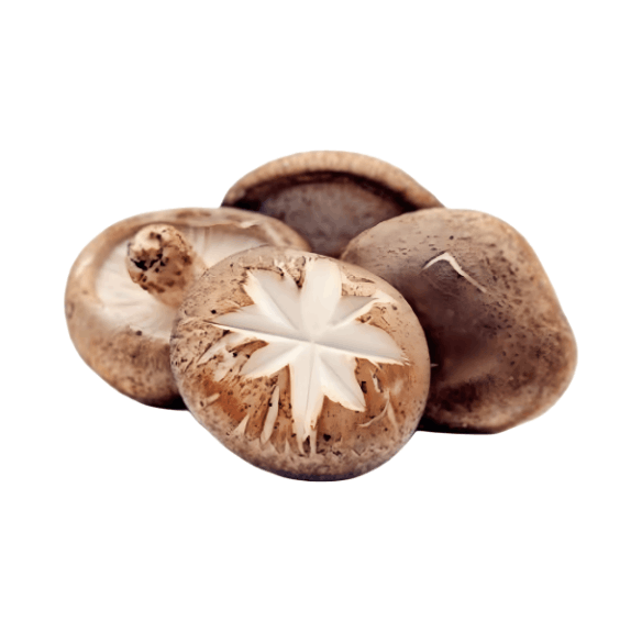 Shiitake