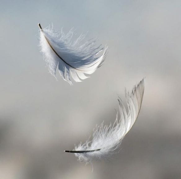 Tajemství fyziologického vzdechu