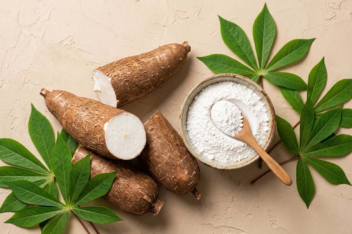 maniok-prirodni-zdroj-pro-pullulan