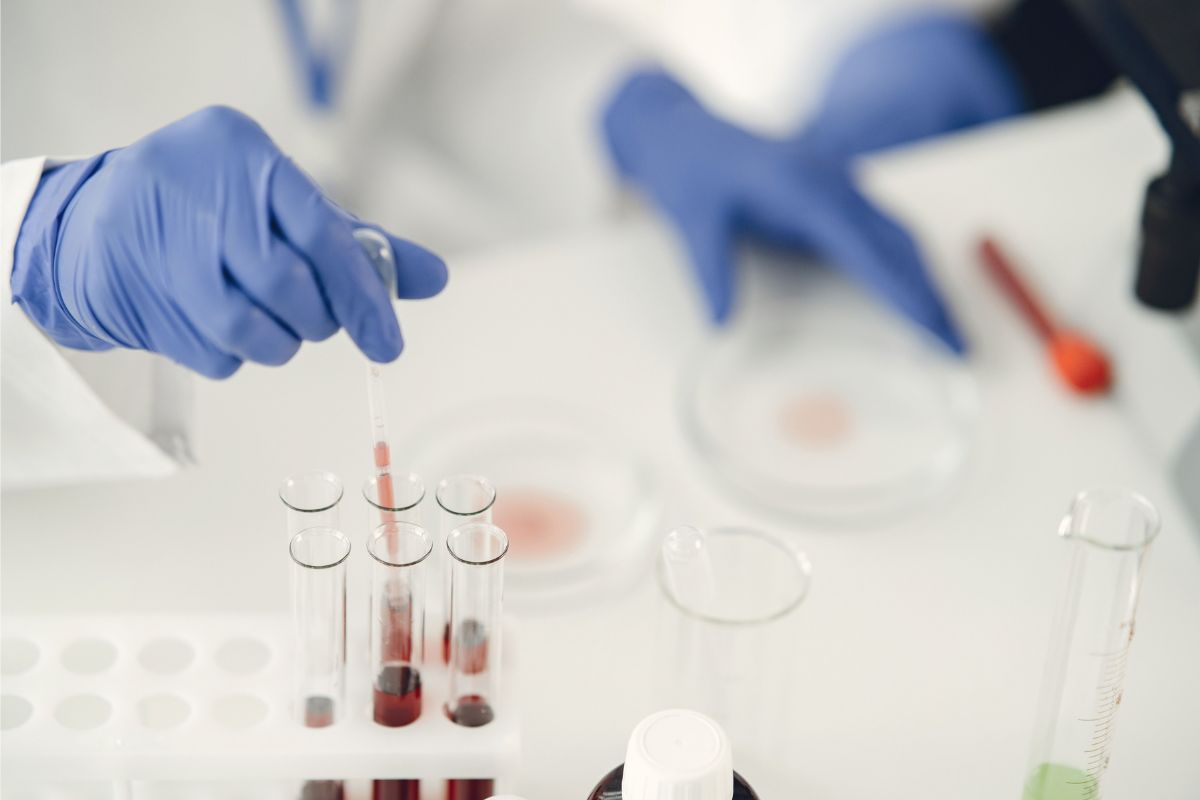Realistická laboratorní práce se vzorkem krve jako ilustrace výzkumu taurinu a červených krvinek.