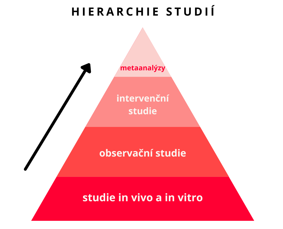 hierarchie_studii