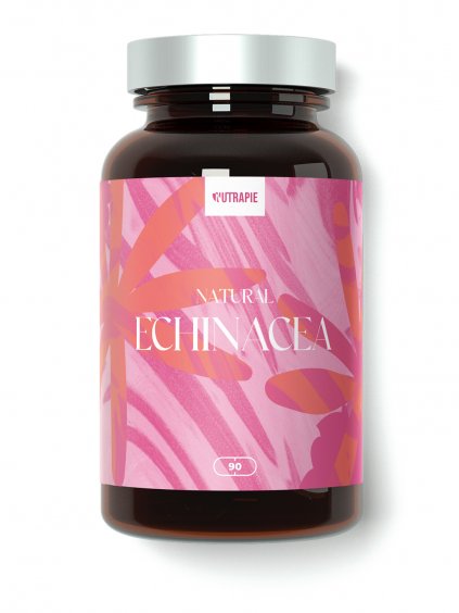 echinacea1