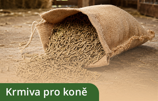 Krmiva pro koně