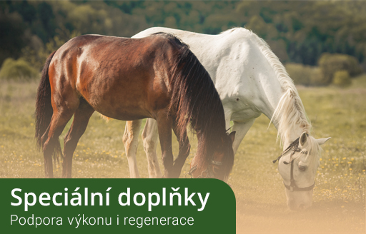 Speciální doplňky