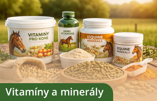 Vitamíny a minerály