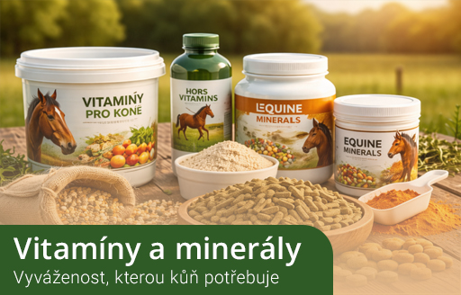 Vitamíny a minerály