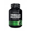BioTech USA Tribulus Maximus 90 tabliet