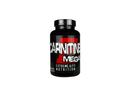CARNITINE MEGA 120caps