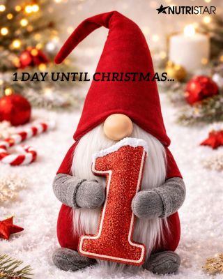 1 day until Christmas.. ❤️ #merrychristmas #christmasfeelings #christmasfeed #foryoupage #czech