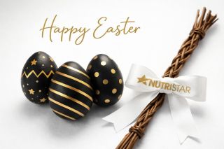 ~ Veselé Velikonoce 🐣 ~ ~ Happy Easter 🐣 ~ #velikonoce #easter #easterholidays🐣 #fyp #foryou