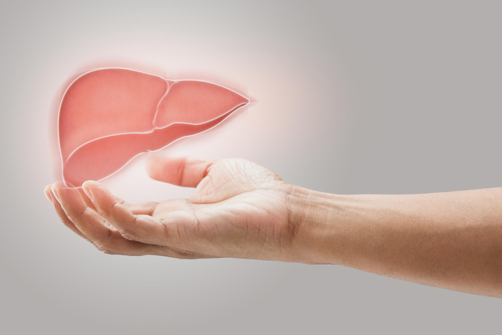 Ciuperca Reishi și ficatul - cum să obțineți o funcție hepatică normală?