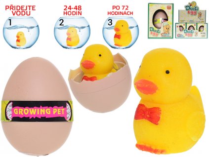 Kačenka líhnoucí a rostoucí v krabičce 12ks v DBX