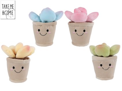 Take Me Home rostliny pokojové plyšové 13cm 4barvy 0m+