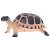 Želva 12cm 2druhy 2barvy 12ks v DBX