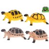 Želva 12cm 2druhy 2barvy 12ks v DBX