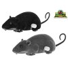 Myš 12cm po natažení jezdící s pohyblivým ocasem 2barvy 12ks v DBX