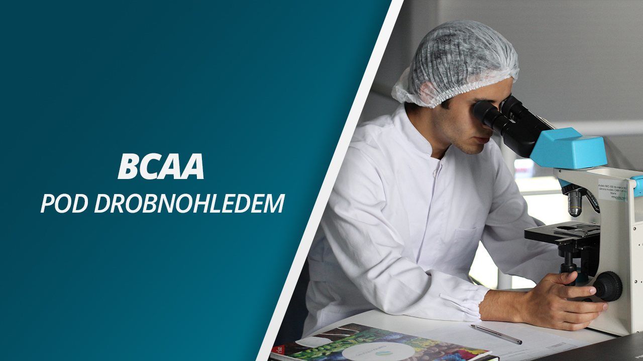 BCAA? ZLEPŠENÍ REGENERACE PO FYZICKÉM VÝKONU?