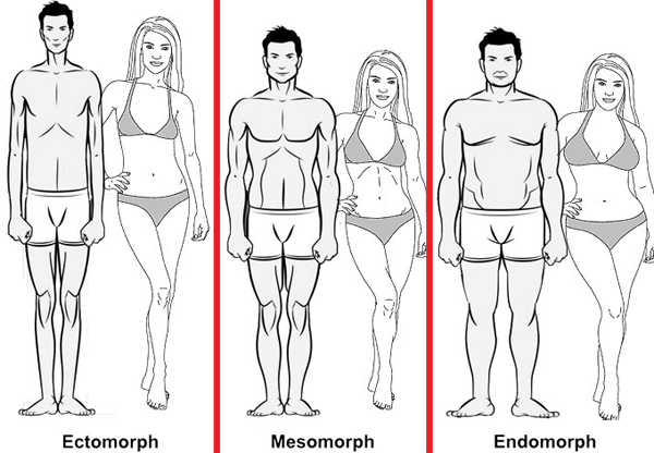 body_types1